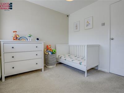 Picture 12